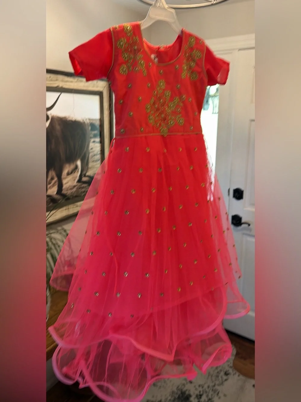 Girls Red Embellished Tulle Costume Dress